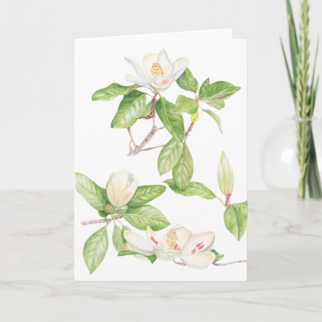 Tarjeta de agradecimiento plegada de Magnolia (Anverso)