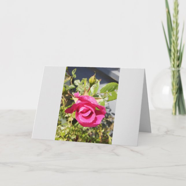 Tarjeta de agradecimiento plegada de Rosa #2 (Anverso)