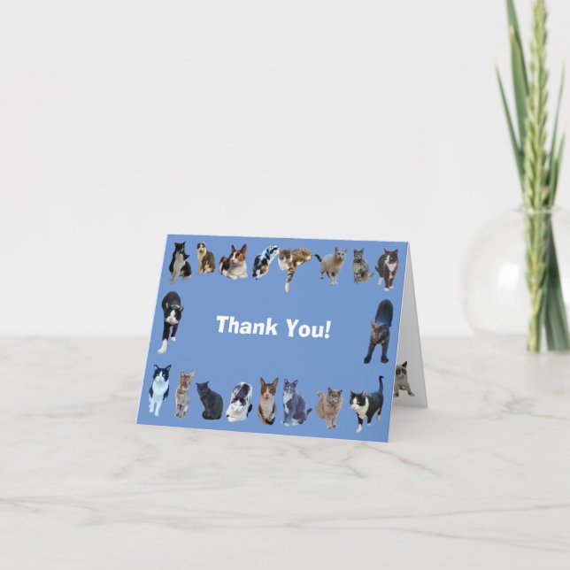 Tarjeta de agradecimiento plegado a un gato Feral (Anverso)