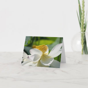 Tarjeta de agradecimiento plegado de White Lotus