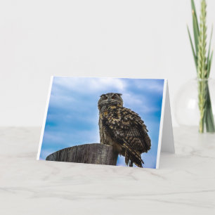 Tarjeta De Agradecimiento Plumas de ave de búho Animal Naturaleza Destino Pa