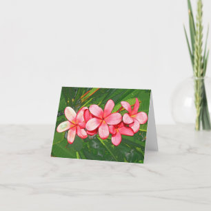 Tarjeta De Agradecimiento plumeria
