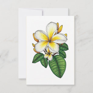 Tarjeta De Agradecimiento Plumeria blanca y amarilla Hawái