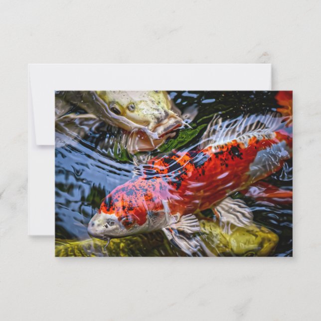 Tarjeta De Agradecimiento Pond Koi Fish (Anverso)