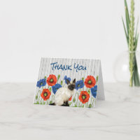 Poppies rojos y azules con gato siamés