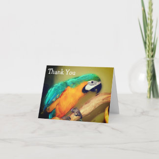 Tarjeta de agradecimiento por pintar loro azul dor