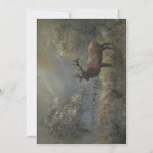 Prado de alces para todas las ocasiones