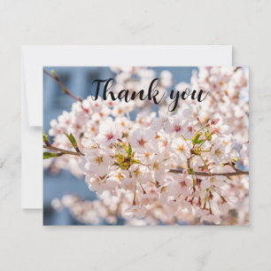 Tarjeta De Agradecimiento Primavera Cerezo Floral Sakura Gracias
