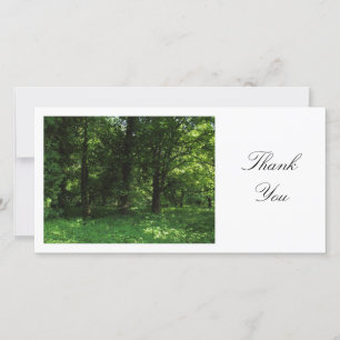 Tarjeta De Agradecimiento Primavera en el Woods 02 - Gracias