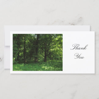 Tarjeta De Agradecimiento Primavera en el Woods 02 - Gracias