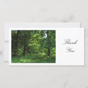 Tarjeta De Agradecimiento Primavera en los bosques 01 - Gracias