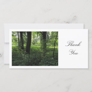 Tarjeta De Agradecimiento Primavera en los bosques 04 - Gracias