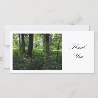 Tarjeta De Agradecimiento Primavera en los bosques 04 - Gracias
