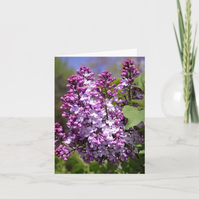 Tarjeta De Agradecimiento Primavera feliz (Anverso)