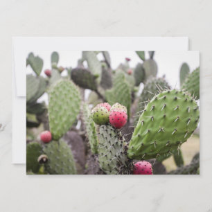 Tarjeta De Agradecimiento Primer Plano De Cactus De Pera Espinosa
