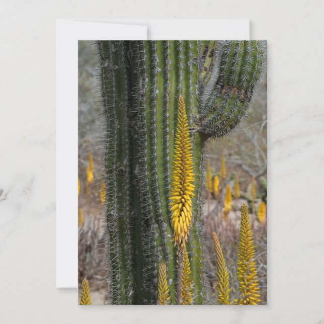 Tarjeta De Agradecimiento Primer plano de cactus y agave (Anverso)