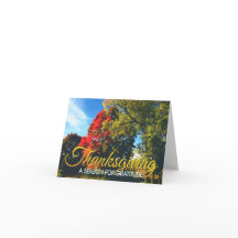 Tarjeta de agradecimiento profesional 17