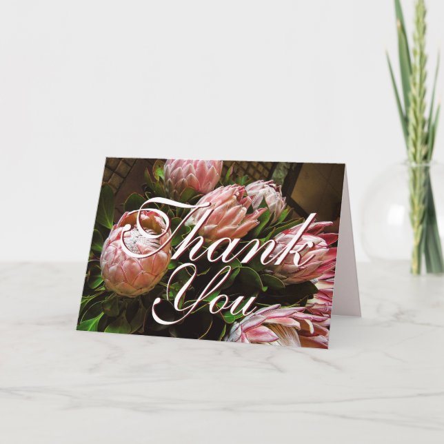 Tarjeta de agradecimiento Protea (Anverso)