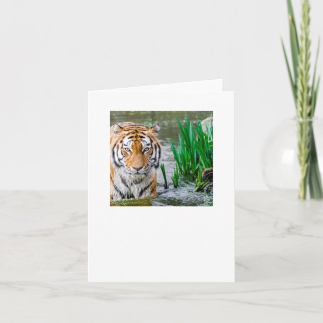 Tarjeta De Agradecimiento prueba (Anverso)