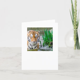 Tarjeta De Agradecimiento prueba