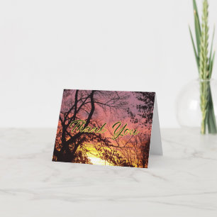 Tarjeta De Agradecimiento Puesta de sol colorida a través de árboles desnudo