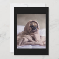Pug In Blanket Cute Pug Dog Lover Regalo