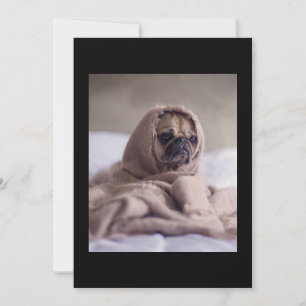 Tarjeta De Agradecimiento Pug In Blanket Cute Pug Dog Lover Regalo
