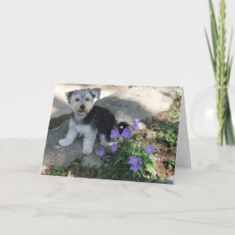 Tarjeta De Agradecimiento Puppy Gracias