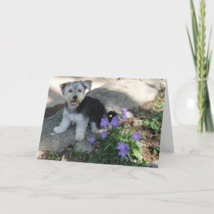 Tarjeta De Agradecimiento Puppy Gracias