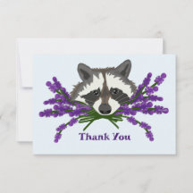 Raccoon con lavanda