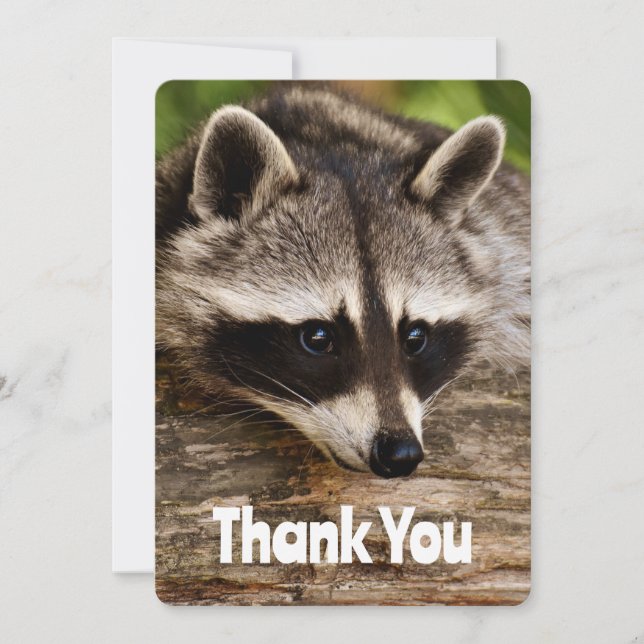 Tarjeta De Agradecimiento Raccoon lindo en un registro Gracias (Anverso)
