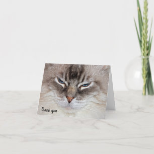 Tarjeta De Agradecimiento Ragdoll Cat Pet Care Gracias