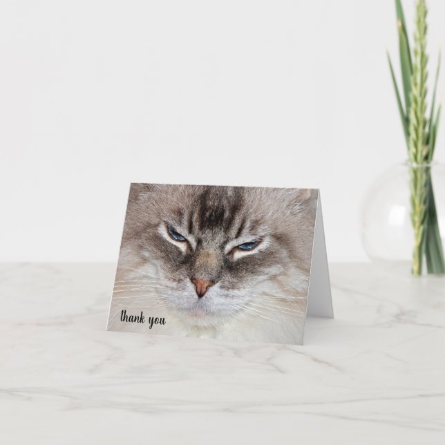 Tarjeta De Agradecimiento Ragdoll Cat Pet Care Gracias (Anverso)