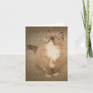 Tarjeta De Agradecimiento Ragdoll Kitten Watercolor