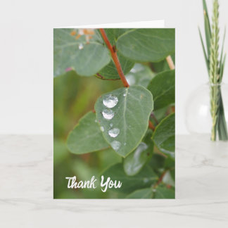 Tarjeta De Agradecimiento Raindrops and Green Leaves Folded Thank You Card
