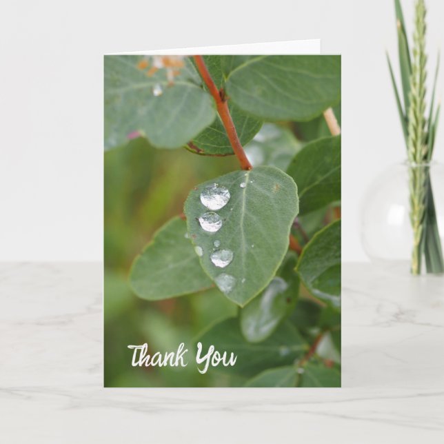 Tarjeta De Agradecimiento Raindrops and Green Leaves Folded Thank You Card (Anverso)