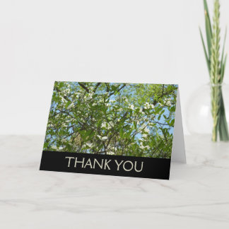 Tarjeta De Agradecimiento Ramas de flores de cornejo Árboles de primavera