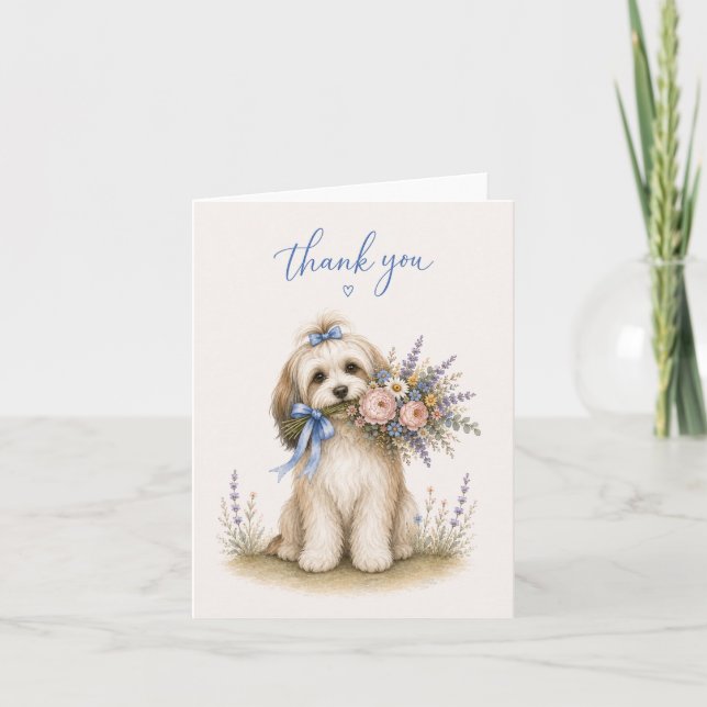 Tarjeta De Agradecimiento Ramo de flores Havanés Gracias (Anverso)