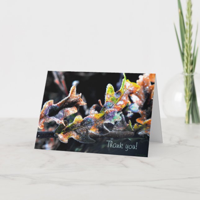 Tarjeta De Agradecimiento Rana de roble (Anverso)