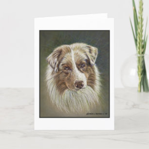 Tarjeta De Agradecimiento Red Merle Australian Shepherd Greeting Card