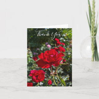 Tarjeta De Agradecimiento Red Rose Photography Folded Thank You Card