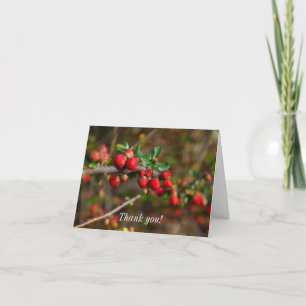 Tarjeta De Agradecimiento Red Spring Buds