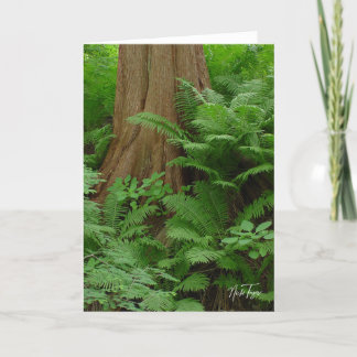 Tarjeta De Agradecimiento Redwood & Ferns notecard