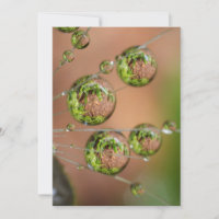 Reflejo de gotas de agua