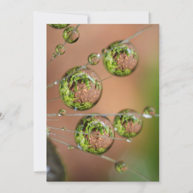 Tarjeta De Agradecimiento Reflejo de gotas de agua (Anverso)