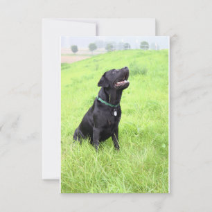 Tarjeta De Agradecimiento Registro de laboratorio negro