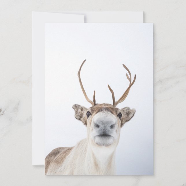 Tarjeta De Agradecimiento Reindeer Nature Photo Card (Anverso)