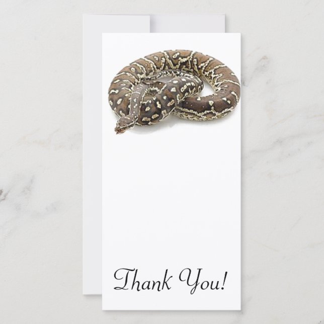 Tarjeta De Agradecimiento Reptil de la serpiente del pitón (Anverso)