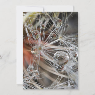 Tarjeta De Agradecimiento Resumen de Dandelion