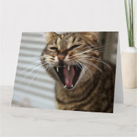 Retrato artístico del bostezo del gato de Tabby